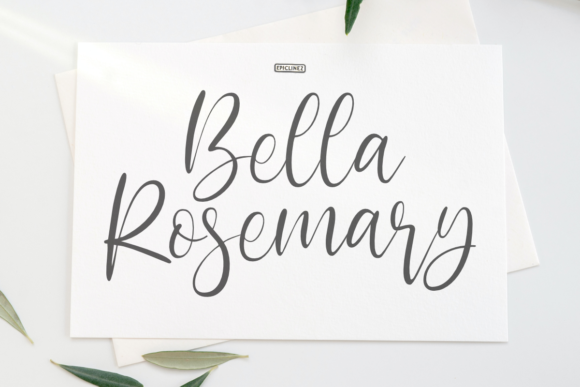 Discover Bella Rosemary: A Timeless Handwritten Font for Creative Branding