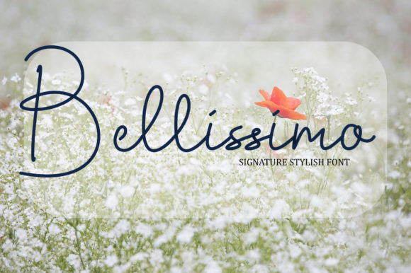 Elevate Your Craft with Bellissimo: A Premium Script Font