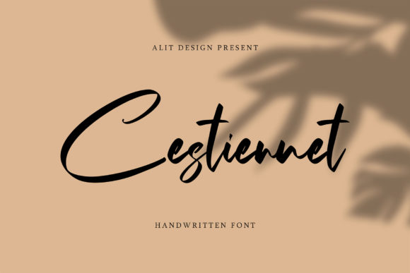Transform Your Brand with The Cestiennet Font